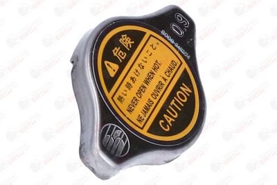 BUSON RADIATOR BIRTH 8069 11