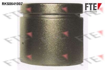 FTE 9313066 Ремкомплект тормозного суппорта  для VOLVO S70 (Вольво С70)