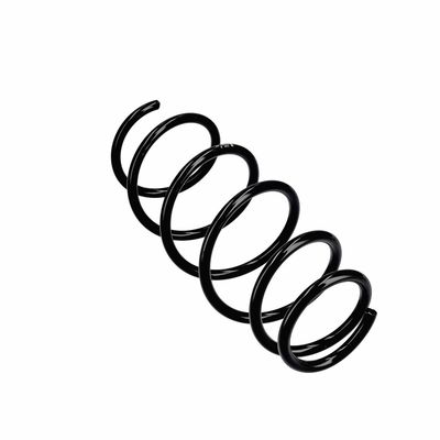 ARC SPIRAL EIBACH R11021 11