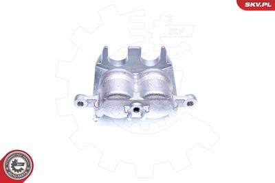 Brake Caliper 42SKV981