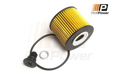 alyvos filtras 1F0165 ProfiPower