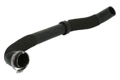 FURTUN EAR SUPRAALIMENTARE