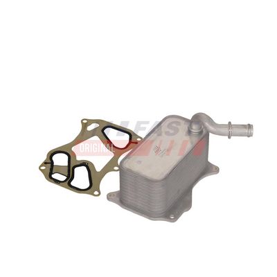 RADIATOR ULEI CUTIE VITEZE FAST FT04634 4