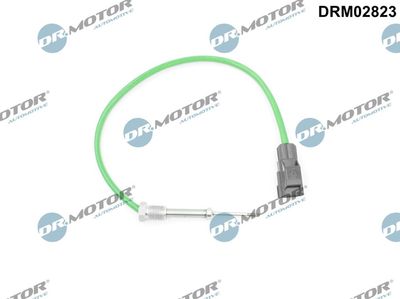 SENZOR TEMPERATURA GAZE EVACUARE