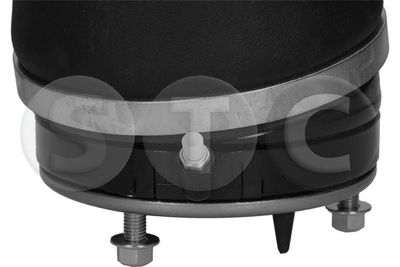 LUFTFEDER FAHRWERK STC T442947 5