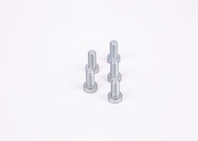 Torx bout (prijs per: 5pcs)