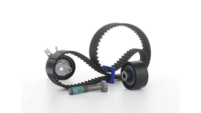 SET CUREA DE DISTRIBUTIE SKF VKMA03305 39