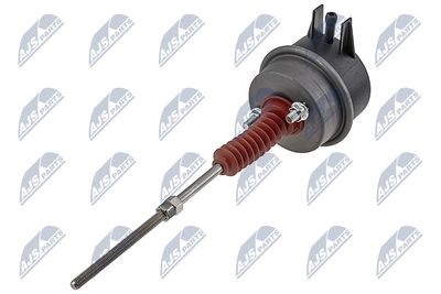 ECD-WW-056