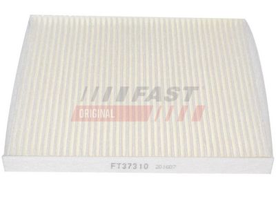FT37310