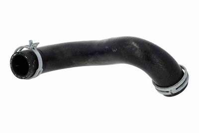 FURTUN RADIATOR VAICO V205256 2