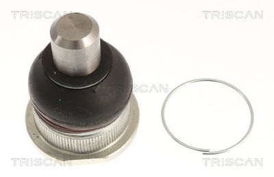 Шарнири TRISCAN 8500 255021