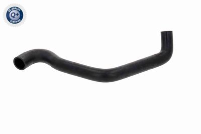 FURTUN RADIATOR VAICO V221166 10