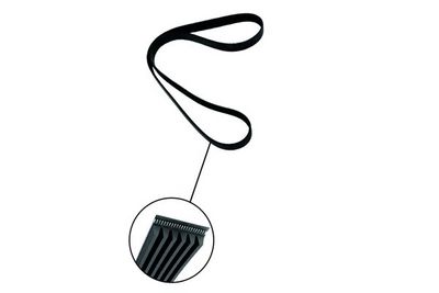 CUREA TRANSMISIE CU CANELURI