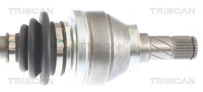 PLANETARA TRISCAN 854024600 2