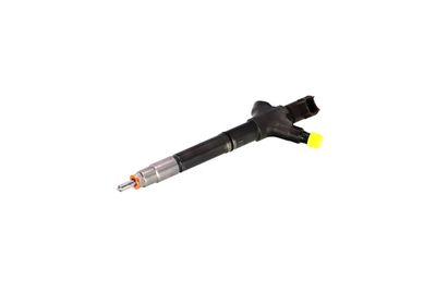 INJECTOR REMANTE 002003002094R 65