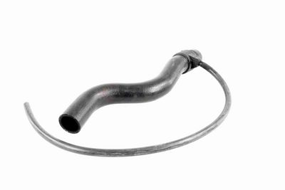 KüHLERSCHLAUCH VAICO V103198 8