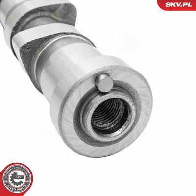 AX CU CAME ESEN SKV 80SKV016 3