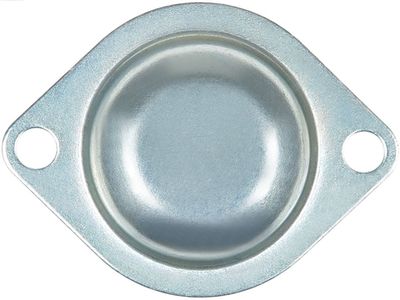 AS-PL Starterdeckel, Vergaser