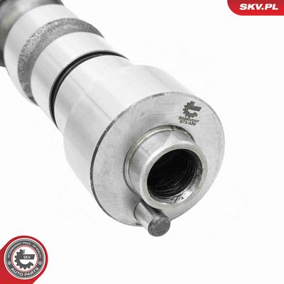 AX CU CAME ESEN SKV 80SKV047 3