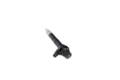INJECTOR REMANTE 002003001751R 25