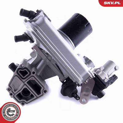 SUPAPA EGR ESEN SKV 14SKV237 4