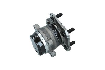 Rato guolio komplektas