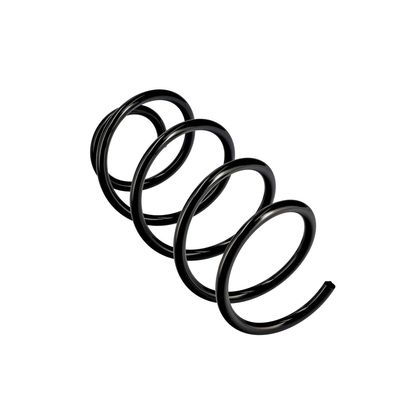 ARC SPIRAL EIBACH R10489 11