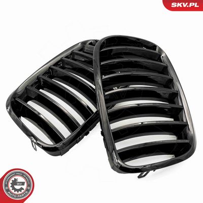 GRILA RADIATOR ESEN SKV 66SKV282 3