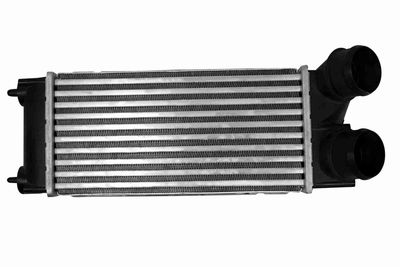 INTERCOOLER COMPRESOR VEMO V22600015