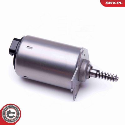 ELEMENT DE REGLARE ARBORE EXCENTIRC (CURSA VARIABILA VENTIL ESEN SKV 96SKV087 1