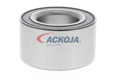 SET RULMENT ROATA ACKOJA A320020 41