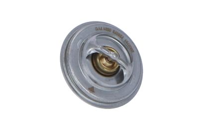 TERMOSTAT LICHID RACIRE NRF 725073 43