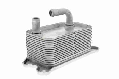 RADIATOR ULEI ULEI MOTOR VEMO V95600011 8