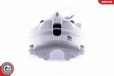 Brake Caliper 50SKV981