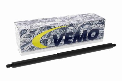 MOTOR ELECTRIC HAION VEMO V58550010 1