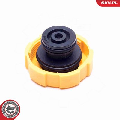 BUSON VAS EXPANSIUNE ESEN SKV 61SKV022 1