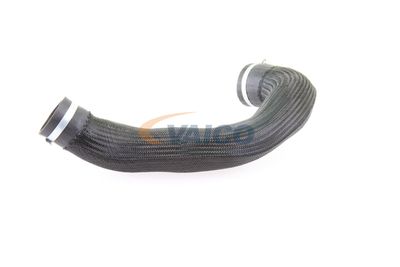 LADELUFTSCHLAUCH VAICO V103834 31