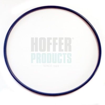 Уплътнение, тапа на горивния резервоар HOFFER GSK07