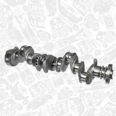 ARBORE COTIT ET ENGINETEAM HK0211 1