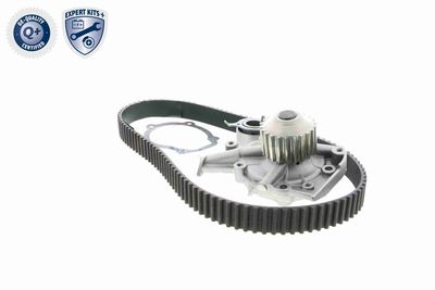 SET POMPA APA + CUREA DINTATA ACKOJA A510202W 2