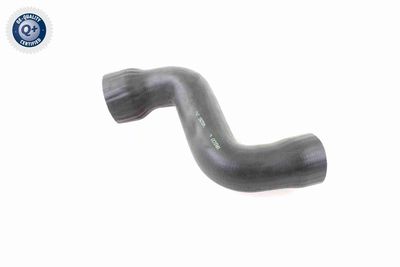 FURTUN EAR SUPRAALIMENTARE VAICO V103826 2