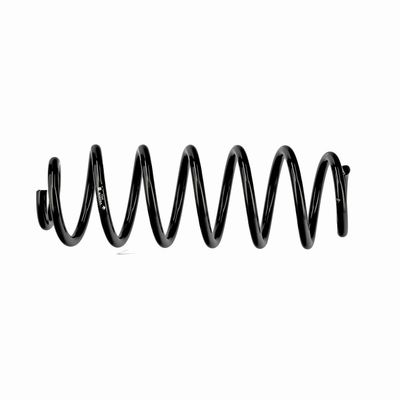 ARC SPIRAL EIBACH R10795 7