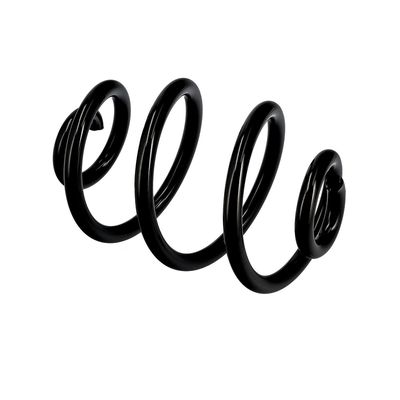 ARC SPIRAL EIBACH R10088 9