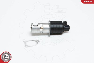 EGR Valve 14SKV032