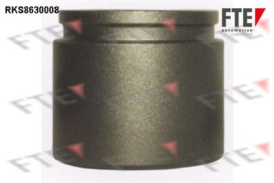 FTE RKS8630008 Ремкомплект тормозного суппорта  для PROTON PERSONA (Протон Персона)