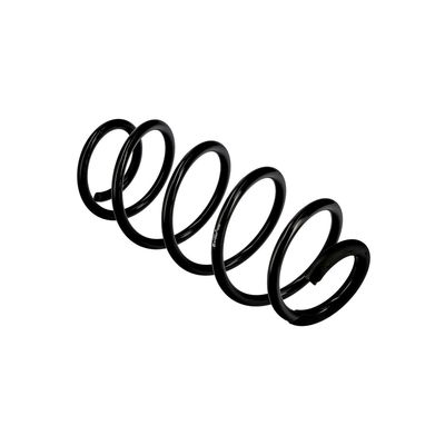 ARC SPIRAL EIBACH R10067 22