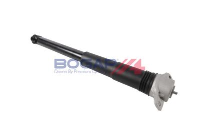 AMORTIZOR BOGAP A3411149 2