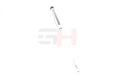 AMORTIZOR GH GH333001 1