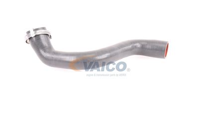 FURTUN EAR SUPRAALIMENTARE VAICO V460823 35