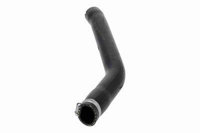 FURTUN EAR SUPRAALIMENTARE VAICO V241595 4
